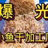 小鱼干制作过程被曝光