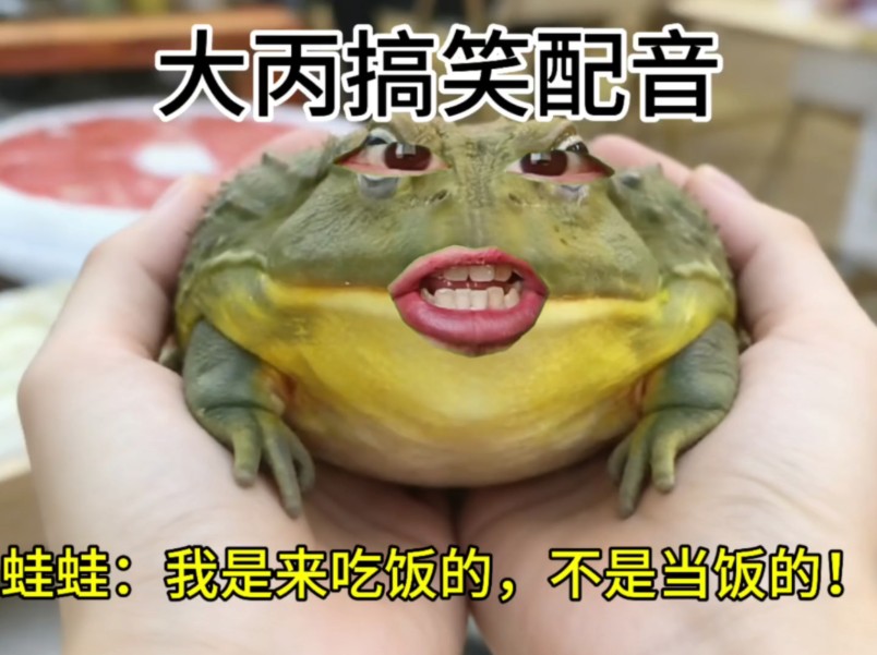 蛙蛙：我是来吃饭的，不是当饭的！
