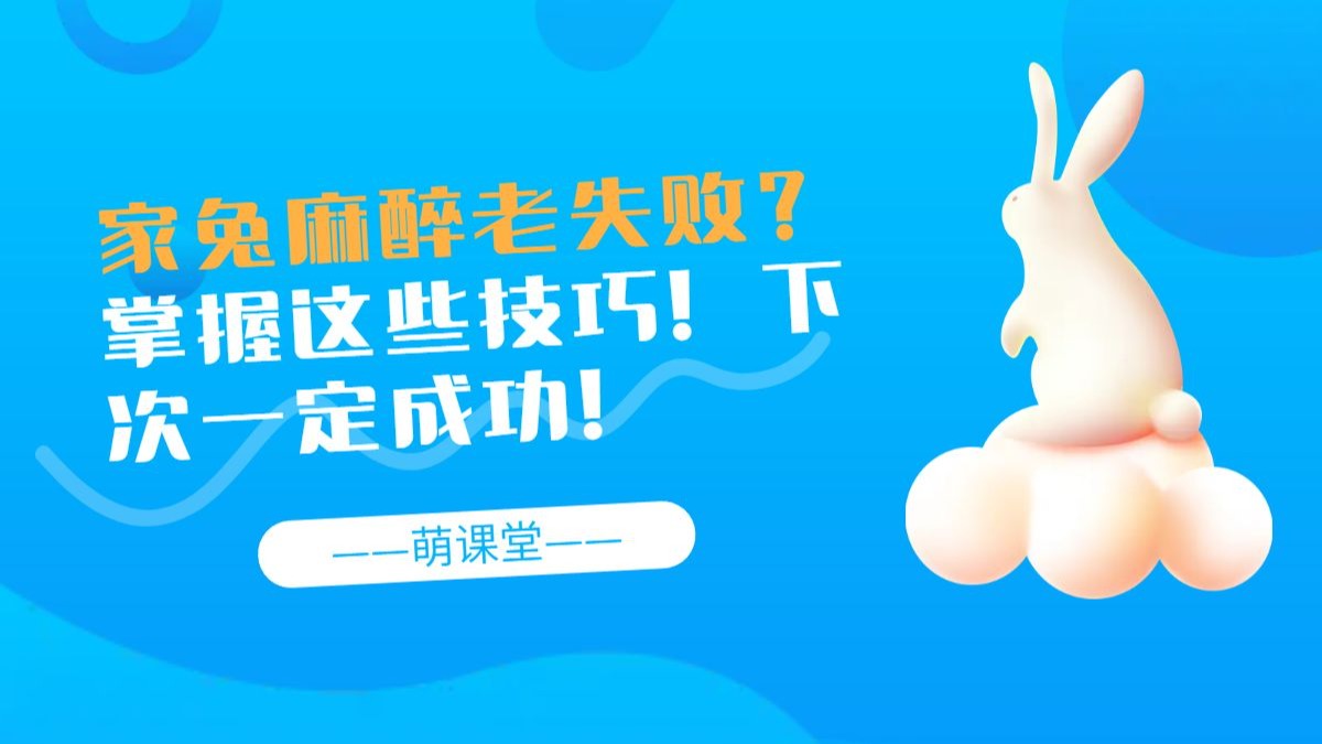 家兔麻醉老失败？掌握这些技巧！下次一定成功！