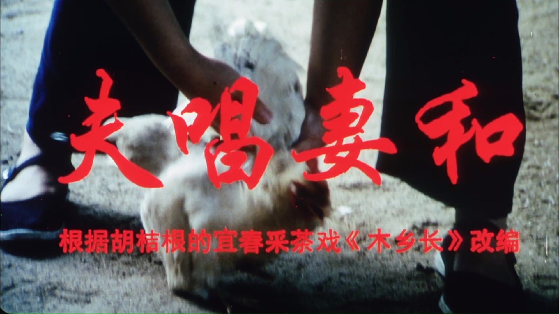 字幕下载
