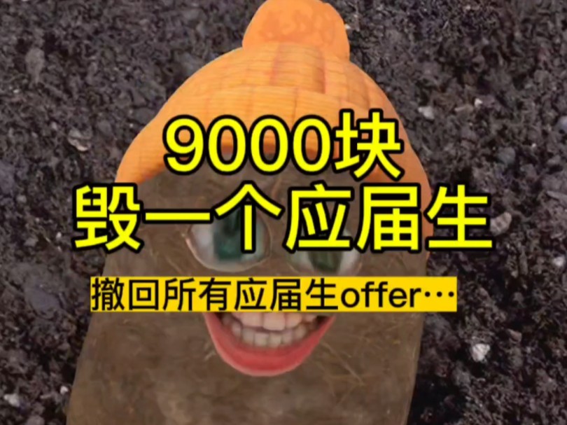 9000块,毁一个应届生!今年的应届生太难了哔哩哔哩bilibili