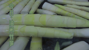 笋是怎么读的 5452473caae6aacece926543add2d66fd60a5a33.jpg@310w_174h_1c_100q.jpg