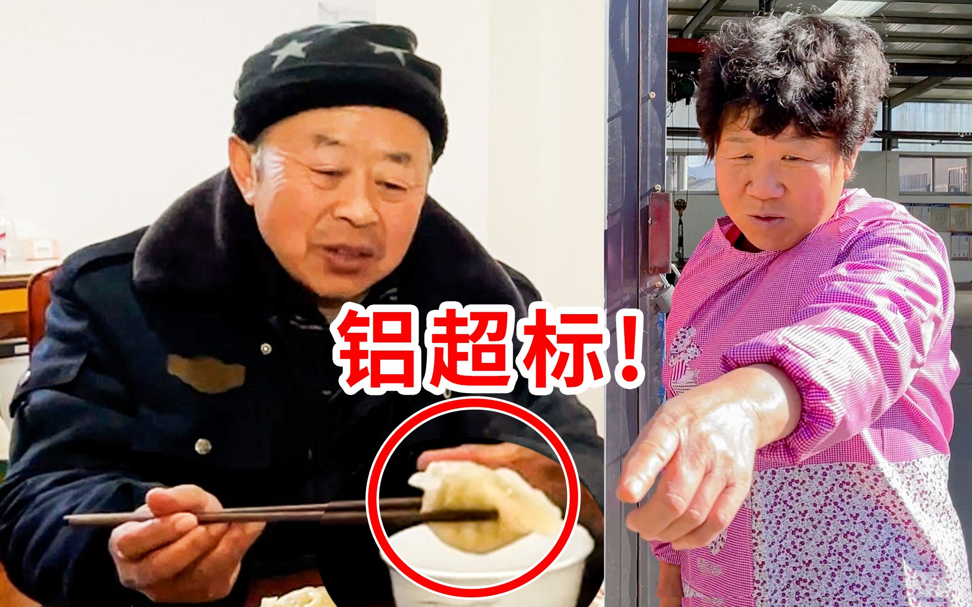 【鹅log】10：你这水饺铝超标！会导致老年痴呆！