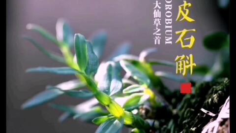 547187e40311bd3a14037ec2501ede00073d757e.jpg@480w_270h_1c