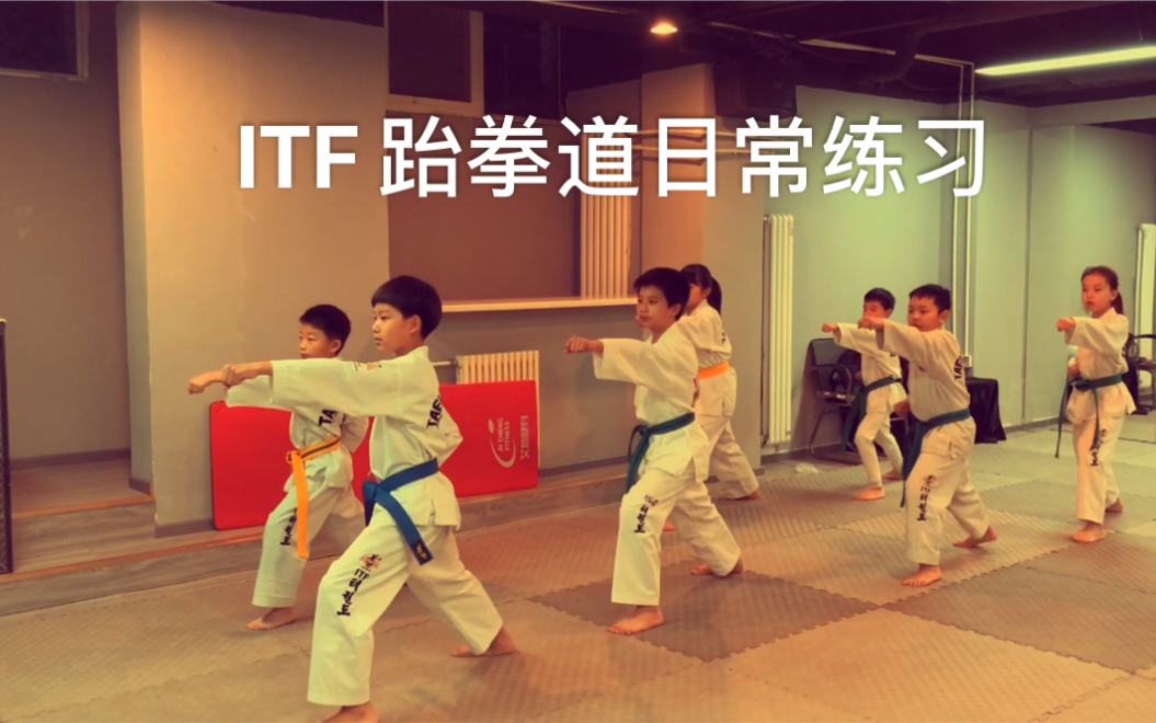 itf跆拳道基本练习