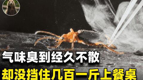 547aa492a953bc602cad342942e2e97d36adaa8d.jpg@480w_270h_1c