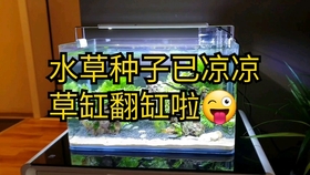5487ccd31efb7b46cb16f4ab4c0b7c43fbf535a5.jpg@280w_158h_1c_100q.jpg
