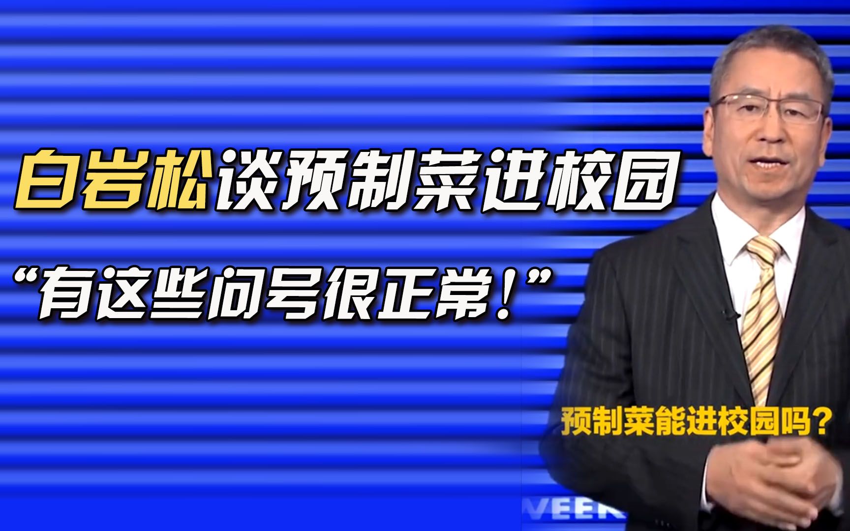 接受预制菜,进校园就算了!白岩松评论:“有问号很正常”哔哩哔哩bilibili