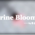 【剑网3·MMD】Marine Bloomin'【全门派/儒风/萝莉】