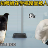当你得知师姐在学校澡堂被人偷拍后