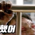 《活着》2020最新丧尸电影。继釜山行之后，韩国又一次爆发了丧尸狂潮