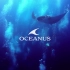 优雅的计时工具~ 卡西欧海神 OCEANUS S5000 系列 19年宣传广告 ~CASIO