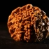 【核雕】山西太原巧匠，用20年时间从事核雕事业，作品方寸之间展示大千世界。