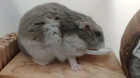 54dd0547a3d9b347dc8d86e7f6858ba0bd53bc00.jpg@480w_270h_1c