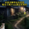 【菠萝猫me】最新视频已上线，快来围观