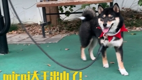 550075b23ca8776f3c683ef9c5b49b1a91c329ac.jpg@280w_158h_1c_100q.jpg
