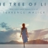 The Tree of Life Soundtrack《生命之树》电影原声带