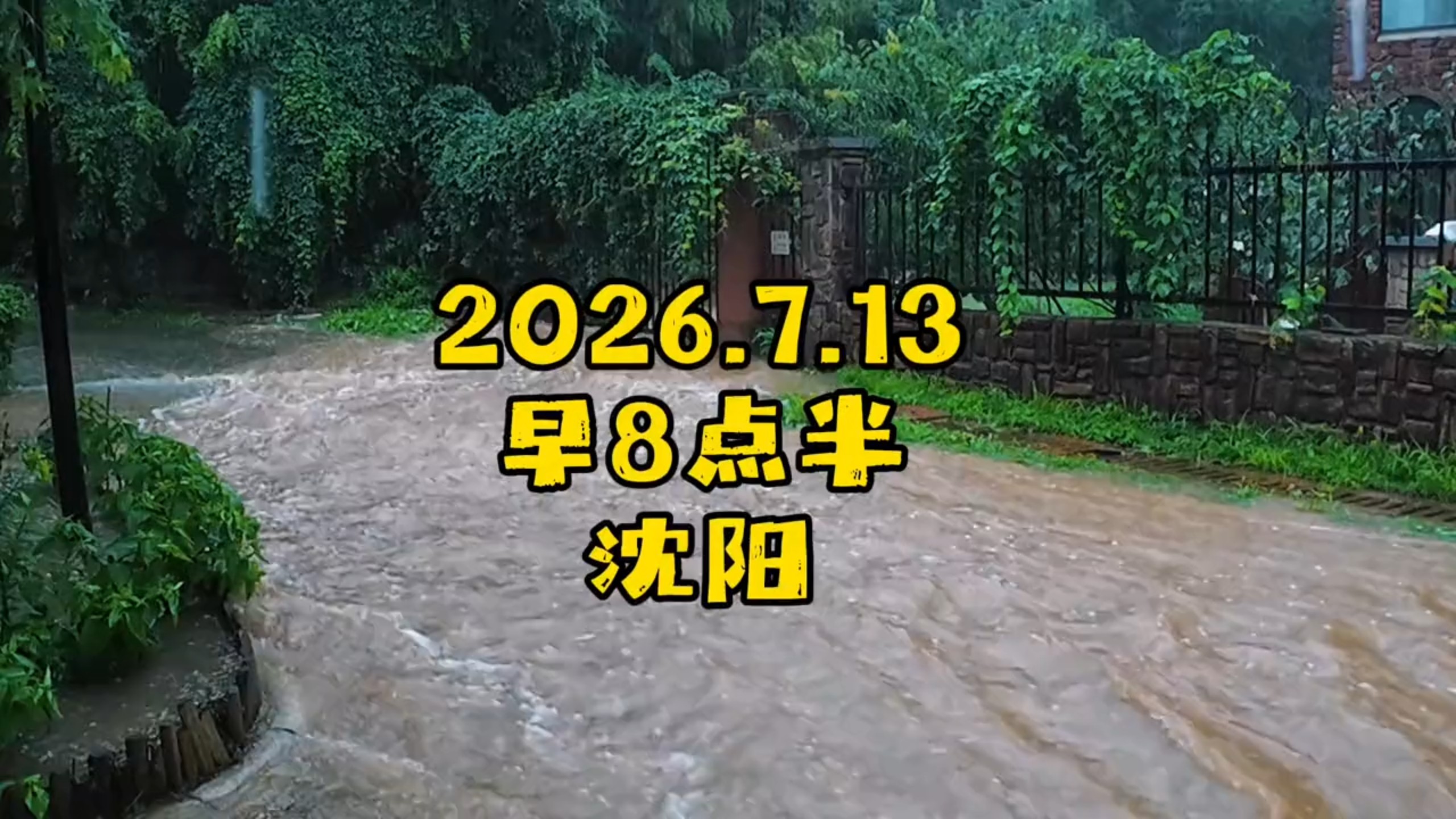 7月13号早上的沈阳，已经汪洋一片，我家小区山洪暴发了