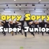 《Sorry Sorry》Super Junior_运动，舞蹈，瘦身，日常