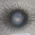 科学小实验：眼观单磁铁的磁力线