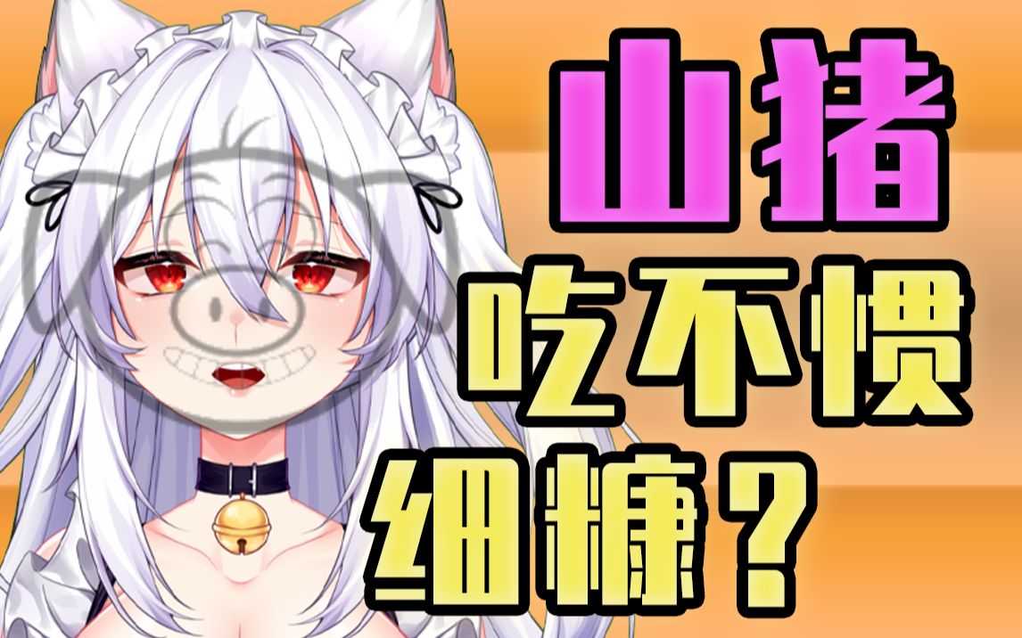 山猪吃不惯细糠?!哔哩哔哩bilibili