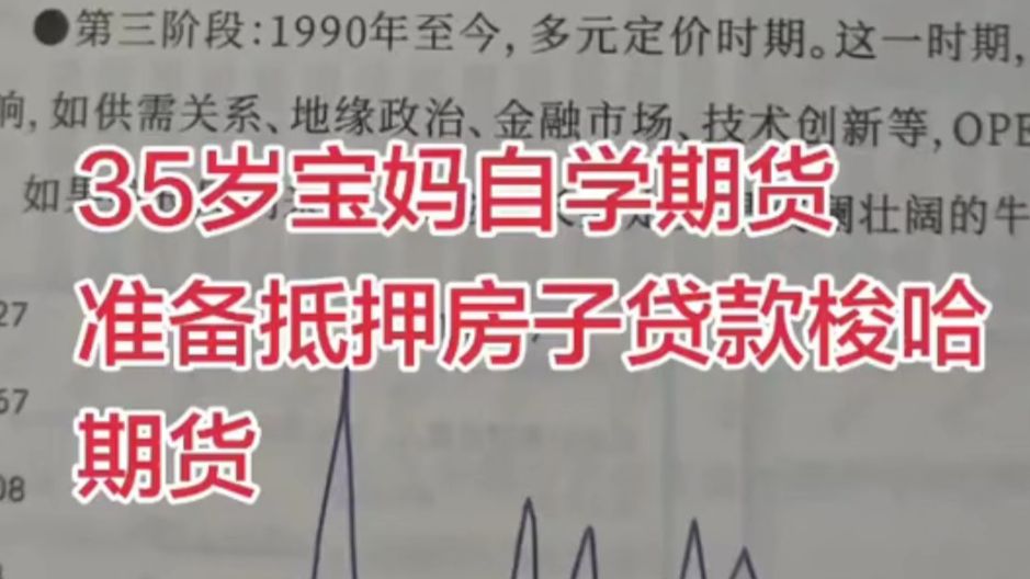 华尔街之狼这一块