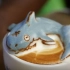 【艺术美食系列】3D拿铁咖啡