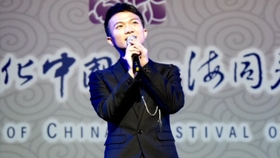 步什么程成语_丁字步正确站法是什么