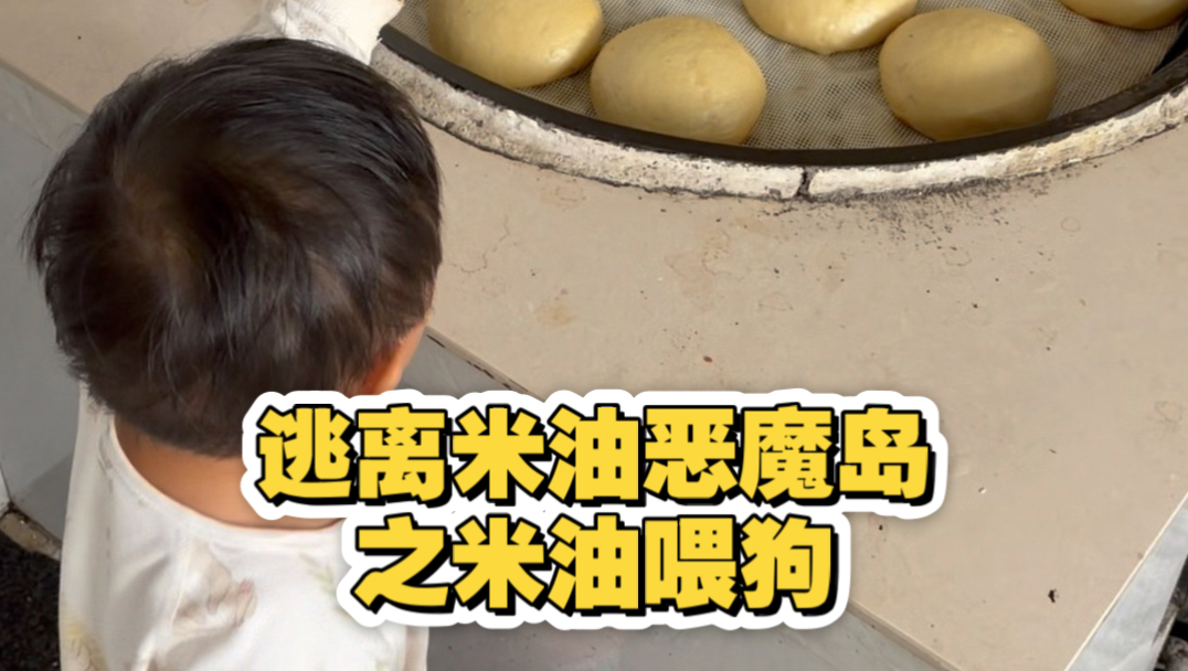 逃离米油恶魔岛想米油喂狗狗