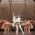 【芭蕾】帕基塔+两部现代作品 荷兰国家芭蕾舞团