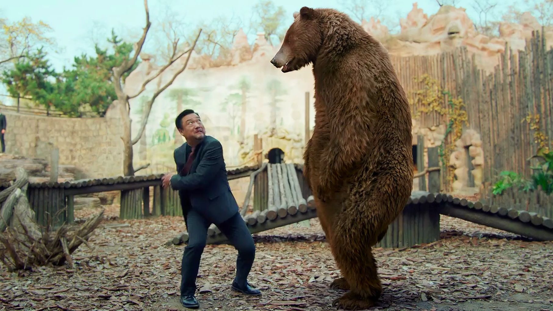 贾冰闯进动物园跟棕熊打起来了