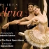 SYLVIA ROH 2005 英国皇家芭蕾舞团 西尔维娅 Frederick Ashton 编舞