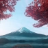 森林环境渲染【CGI】