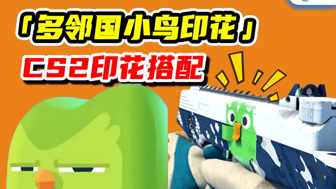 【CS2贴纸教学】多邻国小鸟！来学习吧！
