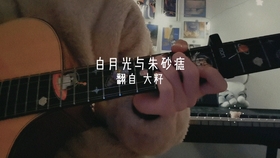 白月光和朱砂痣曲谱吉他_白月光与朱砂痣曲谱(3)