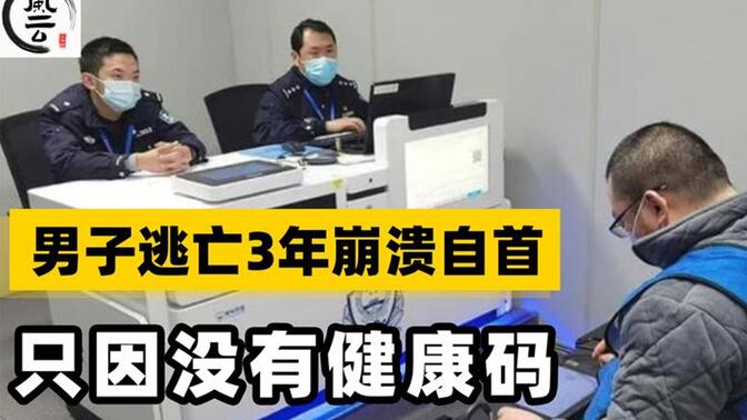 疫情排查有多严？杭州男子逃亡3年，崩溃自首！只因为没有健康码.mp4