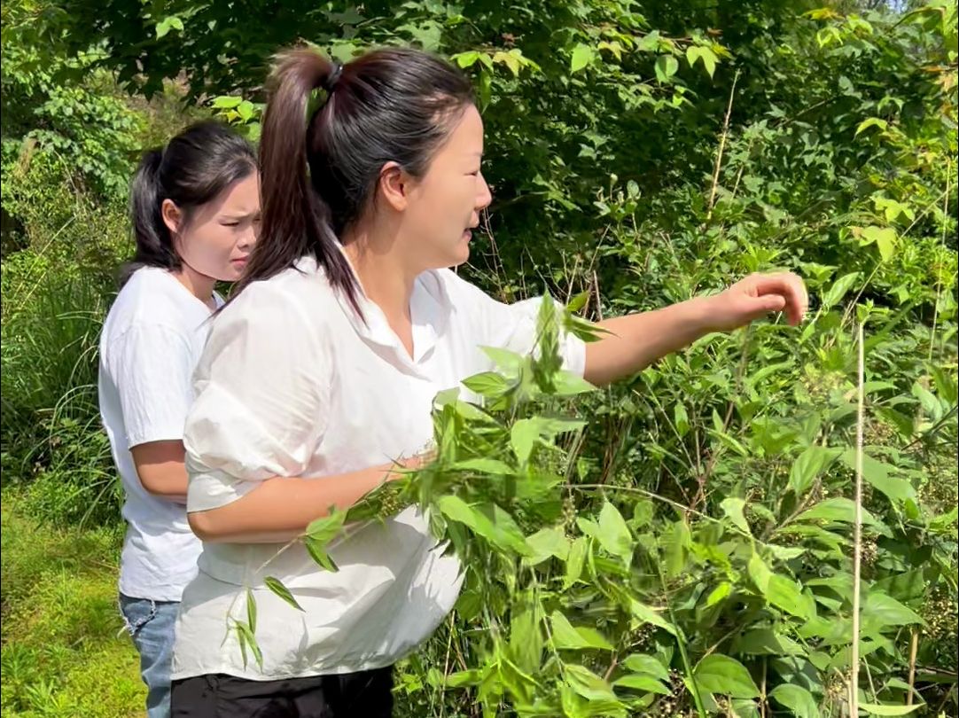 第一次尝试用黄荆叶子做凉粉，再搭配上我花了大价钱买的水果，简直就是神仙吃法啊，在乡村的姐妹们可以尝试一下哦！