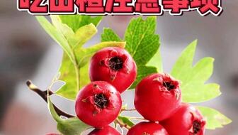 55bd0196451ad56c9a23592bc3db0feb28a9d0e4.jpg@336w_190h_1c.jpg