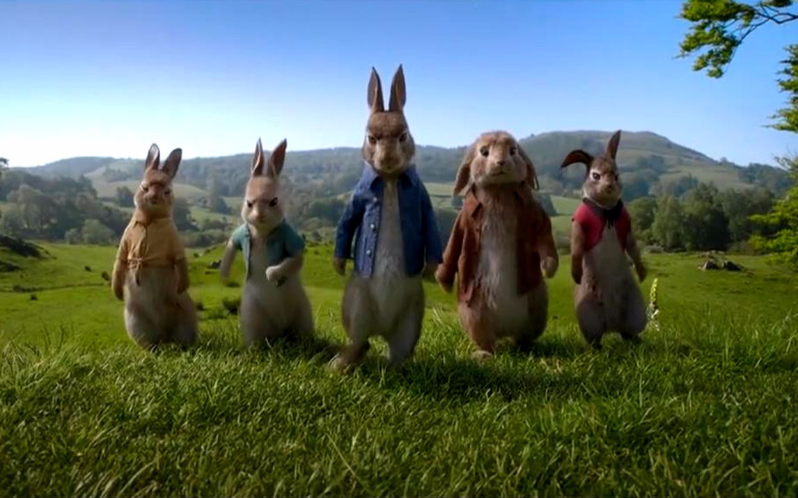 【彼得兔】兔子复仇军团【志爱致赏:第十七期】