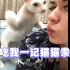 吃我一记猫猫拳  趣味搞笑集锦0016