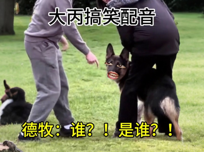 德牧：谁？！是谁？！