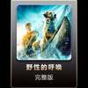 一口气看完（野性的呼唤）忠诚狗狗巴克的逆袭之路，从南到北一路漂泊，最终成为狼王的精彩故事
