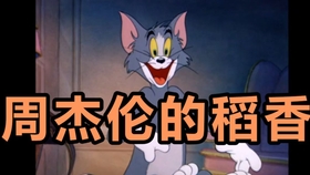 一只猫大战10只老鼠 55dcc319a2a75b3c10854a3590e22656ca934284.jpg@280w_158h_1c_100q.jpg