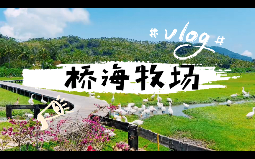 在万宁桥海牧场，听一场关于春天的田园牧歌