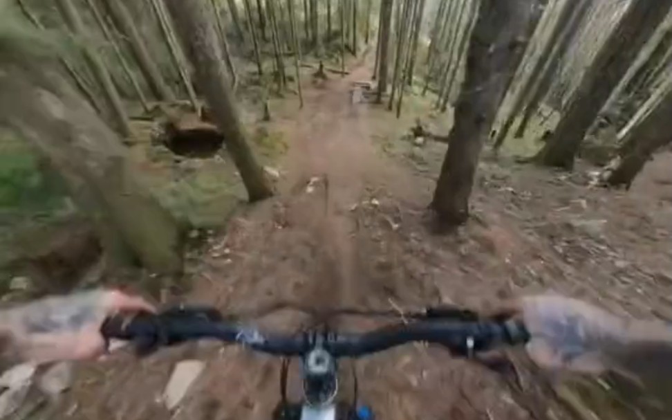 骑自行车飞跃丛林