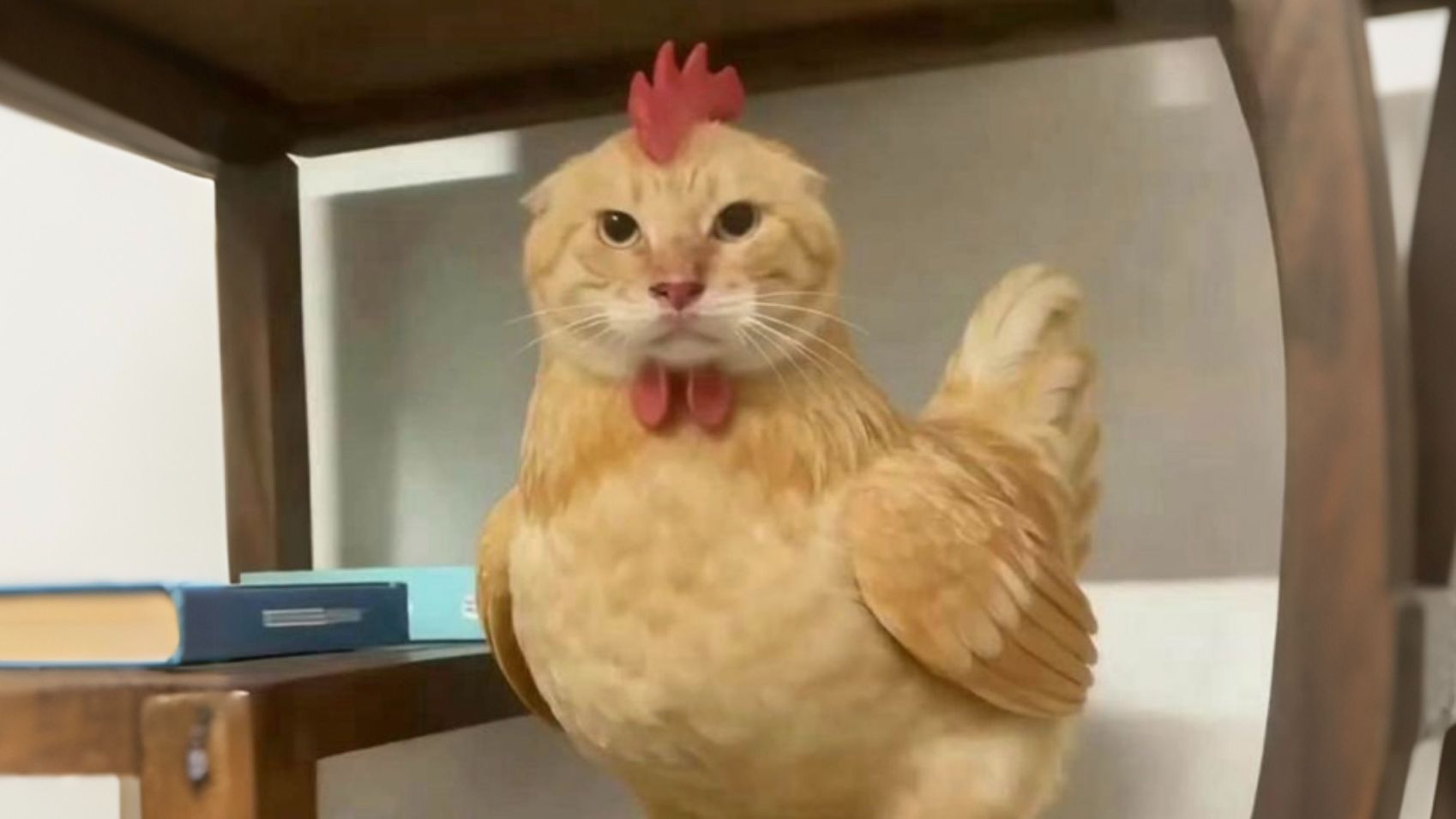 《动物语音系统异常》