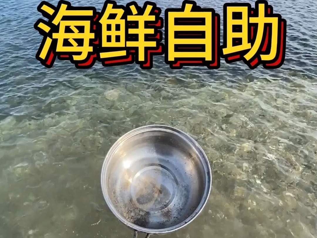 这才是海鲜自助，海边随便捞点，就是一锅