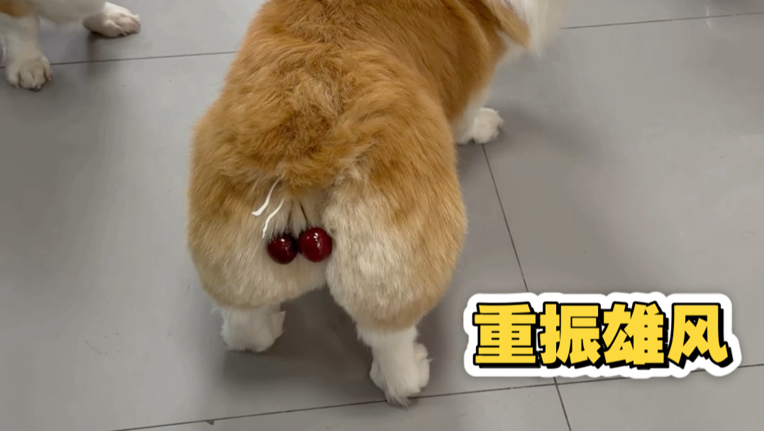 《重振雄风之小贝按蛋》
