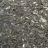 惠州鱼苗场供应鱼苗信息：本鱼苗场今天有草鱼是典型的淡水鱼类，栖息于平原地区的江河湖泊，一般喜居于水的中下层和近岸多区域。