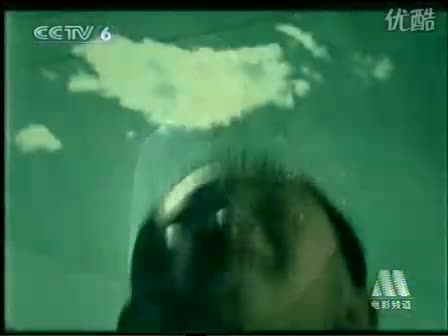 【CCTV6】天天有电影,天天不寂寞哔哩哔哩bilibili